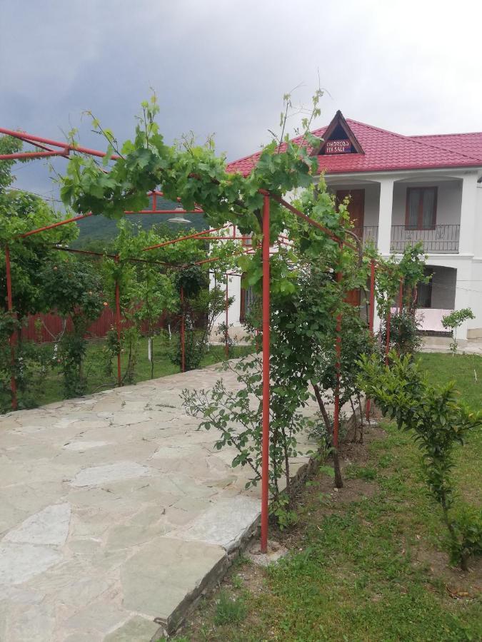 Villa "Zepuri" Dushet'i Екстер'єр фото