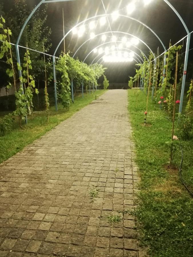 Villa "Zepuri" Dushet'i Екстер'єр фото