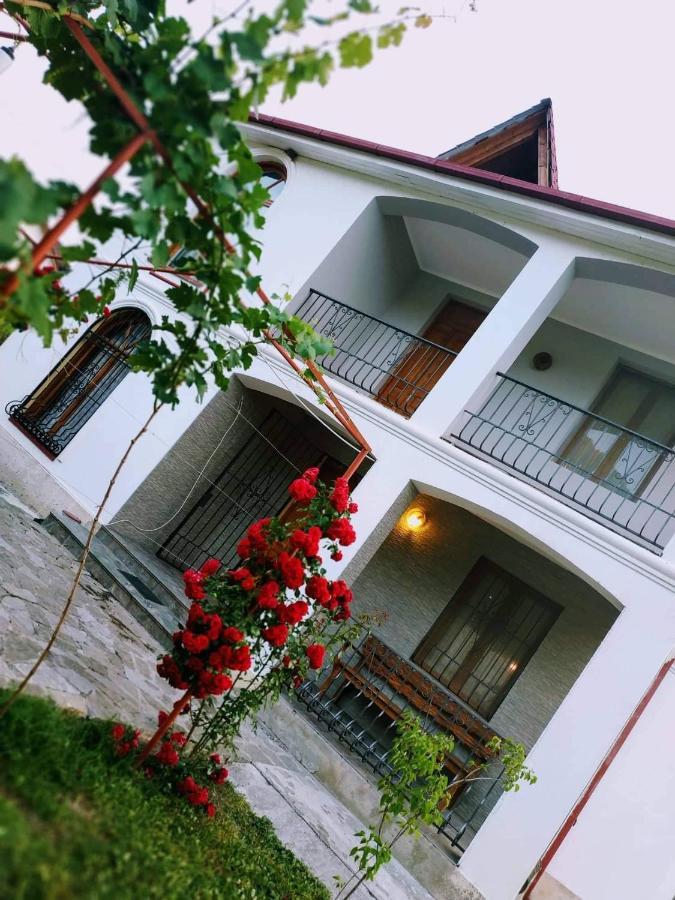 Villa "Zepuri" Dushet'i Екстер'єр фото