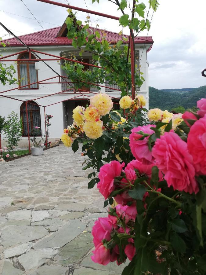 Villa "Zepuri" Dushet'i Екстер'єр фото