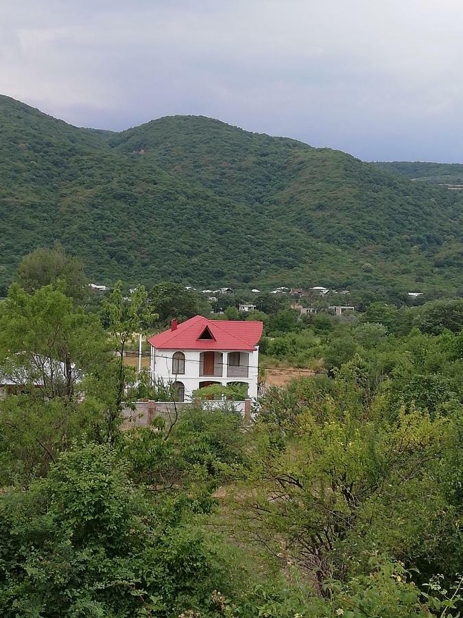 Villa "Zepuri" Dushet'i Екстер'єр фото